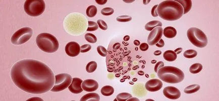 Як зменшити в'язкість крові, meddoc (в'язкість) Як зменшити в'язкість крові, meddoc