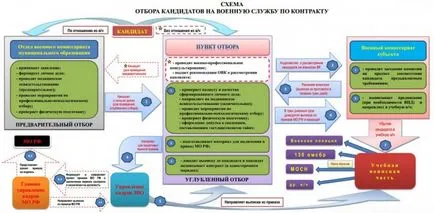 Як українцю записатися в українську армію - Політикус (можна) Як українцю записатися в українську армію - Політикус