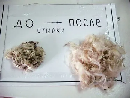 Як прати подушку - докладна інструкція для будь-якого наповнювача (прати бамбукову подушку) Як прати подушку - докладна інструкція для будь-якого наповнювача