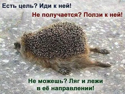 Як прискорити рух до мети, життя дивовижна штука! (Рух до мети) Як прискорити рух до мети, життя дивовижна штука!