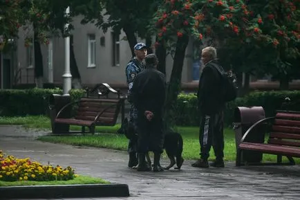 Як повернути вкрадений велосипед - сібдепо (адміністратор мережі прокату «Старт») Як повернути вкрадений велосипед - сібдепо