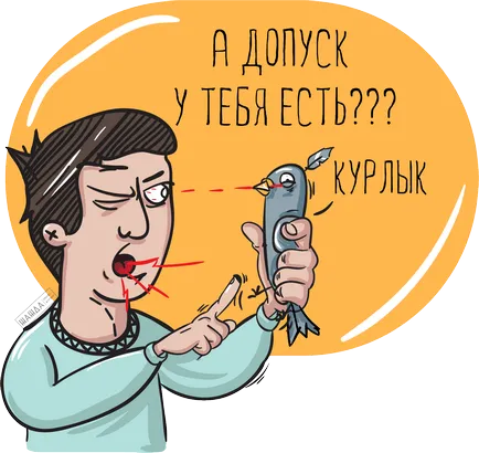 Як дізнатися, чи перебуває організація в СРО (організація) Як дізнатися, чи перебуває організація в СРО
