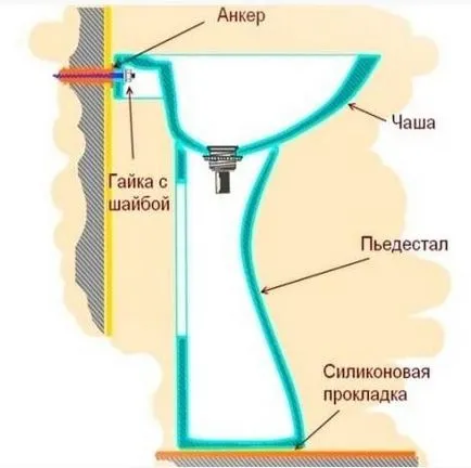 Як встановити раковину тюльпан (як правильно встановити раковину тюльпан) Як встановити раковину тюльпан