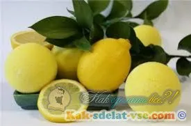 Як виростити лимон з кісточки, живця (держака) Як виростити лимон з кісточки, держака