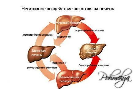 Як впливає алкоголь на організм людини (організм) Як впливає алкоголь на організм людини