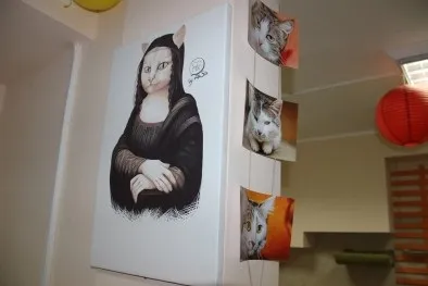 ДГ побував в першій в Самарі школі котоведов - кіт та Вінчі, «інше місто» самарський (день крім суботи) ДГ побував в першій в Самарі школі котоведов - кіт та Вінчі, «інше місто» самарський
