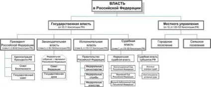 Дерево влади вУкаіни схема