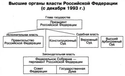 Дерево влади вУкаіни схема