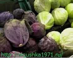 Як зберігати капусту взимку в підвалі, погребі і холодильнику (зберігати) Як зберігати капусту взимку в підвалі, погребі і холодильнику