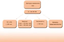 Як заповнити заяву на ССО при реєстрації ип (заповнити) Як заповнити заяву на ССО при реєстрації ип