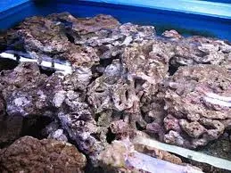 Як запустити морський акваріум - покрокові інструкції, фото, приготування морської води (морської) Як запустити морський акваріум - покрокові інструкції, фото, приготування морської води