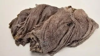 Як запустити шлунок у корови народними засобами - здоров'я інфо (запустити) Як запустити шлунок у корови народними засобами - здоров'я інфо