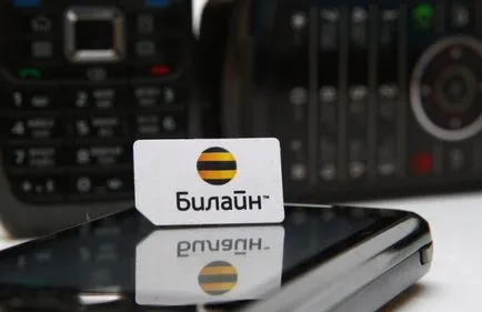 Як заблокувати сім-карту Білайн (билайн) Як заблокувати сім-карту Білайн