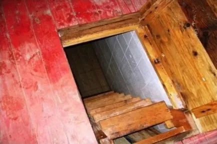 Як зберігати капусту в погребі взимку (взимку) Як зберігати капусту в погребі взимку