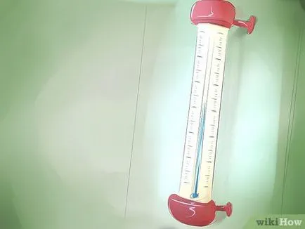 Як піклуватися і годувати саламандр