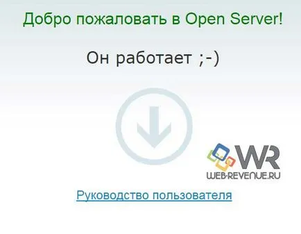Як запустити open server