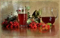 Калина від алергії - народні рецепти