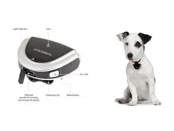 Камера для собак і кішок eyenimal pet cam - нашийники з камерою (собак) Камера для собак і кішок eyenimal pet cam - нашийники з камерою