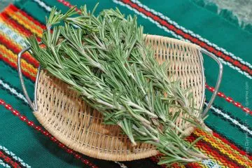 Картопля в духовці запечена зі свіжим розмарином (картопля) Картопля в духовці запечена зі свіжим розмарином