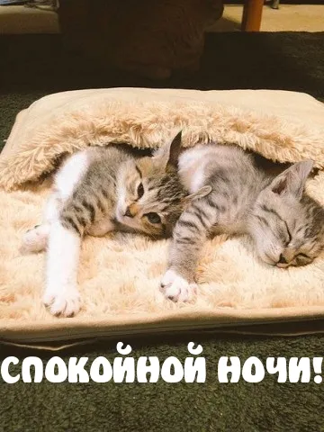 Картинки з написами на добраніч (225 шт (спокійній) Картинки з написами на добраніч (225 шт
