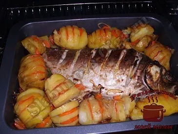 Короп з картоплею