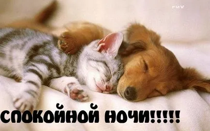Картинки з написами на добраніч (225 шт (спокійній) Картинки з написами на добраніч (225 шт