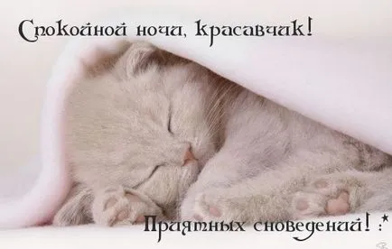 Картинки з написами на добраніч (225 шт (картинки з написами на добраніч) Картинки з написами на добраніч (225 шт