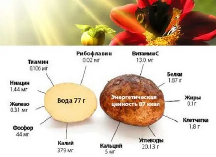 Картопляні паростки для лікування суглобів рецепти, відгуки (картопляні) Картопляні паростки для лікування суглобів рецепти, відгуки