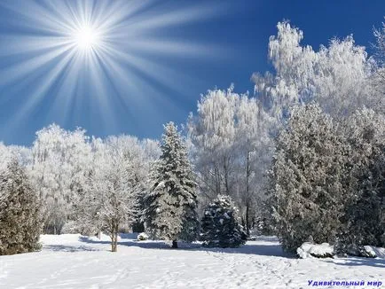 Картинки сніг йде