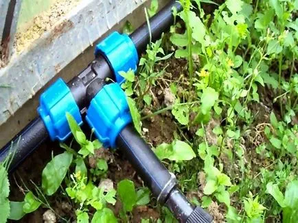Капілярний полив для теплиць і фіалок своїми руками, система (своїми) Капілярний полив для теплиць і фіалок своїми руками, система