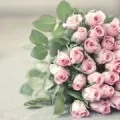 До чого сняться гвоздики (червоні), сонник гвоздики уві сні (снитися гвоздика сонник сон) До чого сняться гвоздики (червоні), сонник гвоздики уві сні