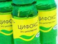 Кліщ демодекс на обличчі лікування, особливості паразита і заходи профілактики (кліщ демодекс фото) Кліщ демодекс на обличчі лікування, особливості паразита і заходи профілактики