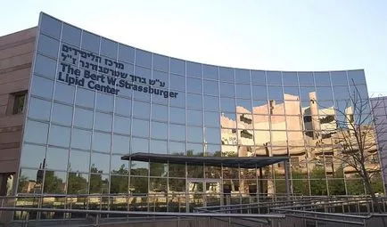 Клініки ізраїлю по онкології (лікування раку), онкоклініках, центри (ізраїлю) Клініки ізраїлю по онкології (лікування раку), онкоклініках, центри
