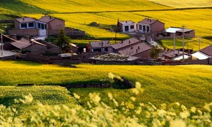 До чого сниться село, сонник село бачити уві сні що означає (чого) До чого сниться село, сонник село бачити уві сні що означає