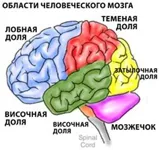 Коксартроз - артроз тазостегнового суглоба, лікування в Ізраїлі з globalmed (діагностика тазостегнового суглоба) Коксартроз - артроз тазостегнового суглоба, лікування в Ізраїлі з globalmed