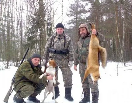 Кого боїться лисиця