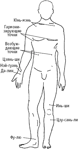 Кішки шкребуть на серці (кішки) Кішки шкребуть на серці