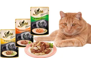 Корм для кішок Шеба преміум-клас відгуки ветеринарів і склад продукту (ветеринарів) Корм для кішок Шеба преміум-клас відгуки ветеринарів і склад продукту