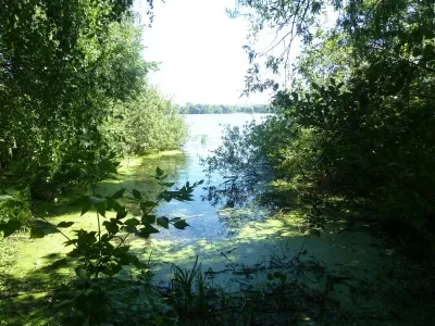 Косинський озера, біле озеро, чорне озеро, святе озеро, косинский парк, салтиковський лісопарк, (озеро) Косинський озера, біле озеро, чорне озеро, святе озеро, косинский парк, салтиковський лісопарк,