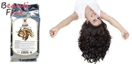 Корінь аїру для волосся як використовувати в домашніх умовах (використовувати) Корінь аїру для волосся як використовувати в домашніх умовах