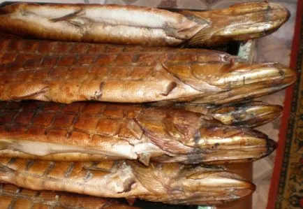 Копчена щука в домашніх умовах (домашній рецепт копченої щуки) Копчена щука в домашніх умовах
