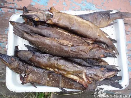 Копчення щуки - секрети і поради (щуки) Копчення щуки - секрети і поради