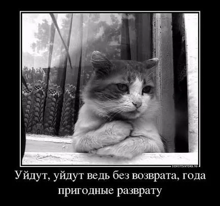Кішок не любить тільки той, хто ще не зустрів свою кішку (кішку) Кішок не любить тільки той, хто ще не зустрів свою кішку