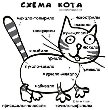Кішок не любить тільки той, хто ще не зустрів свою кішку (котів є хвіст) Кішок не любить тільки той, хто ще не зустрів свою кішку