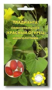 Червоний огірок (тладіанта) опис, розмноження, догляд, фото (огірок) Червоний огірок (тладіанта) опис, розмноження, догляд, фото