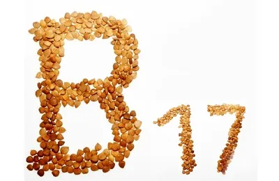 Кісточки від абрикосів що з ними робити і застосування, як прибрати гіркоту і як можна використовувати (кісточки) Кісточки від абрикосів що з ними робити і застосування, як прибрати гіркоту і як можна використовувати