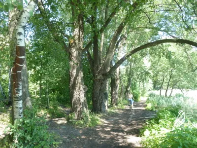 Косинський озера, біле озеро, чорне озеро, святе озеро, косинский парк, салтиковський лісопарк, (Косинського) Косинський озера, біле озеро, чорне озеро, святе озеро, косинский парк, салтиковський лісопарк,