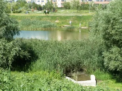 Косинський озера, біле озеро, чорне озеро, святе озеро, косинский парк, салтиковський лісопарк, (біле) Косинський озера, біле озеро, чорне озеро, святе озеро, косинский парк, салтиковський лісопарк,