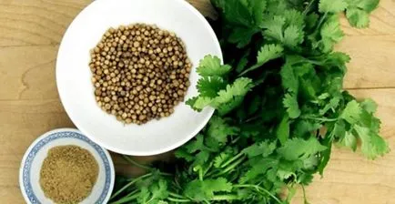 Кулінарна азбука кардамон, коріандр, кориця та інші - гурманів - Гурмания на сайті Або де Боте (кардамон) Кулінарна азбука кардамон, коріандр, кориця та інші - гурманів - Гурмания на сайті Або де Боте