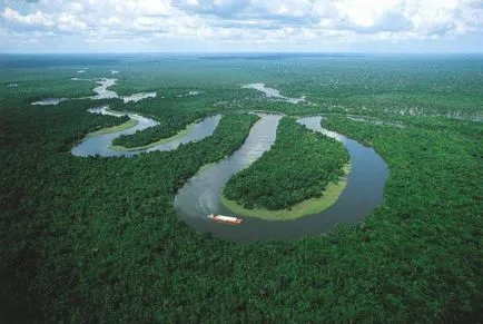 Куди впадає амазонка дельта річки та інші особливості